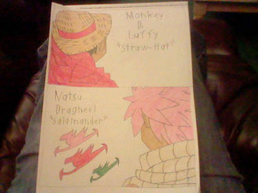 Natsu and Luffy 00