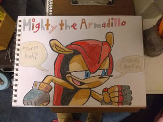 Mighty the Armadillo 0