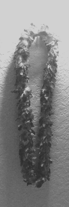 Black and White Lei and ID