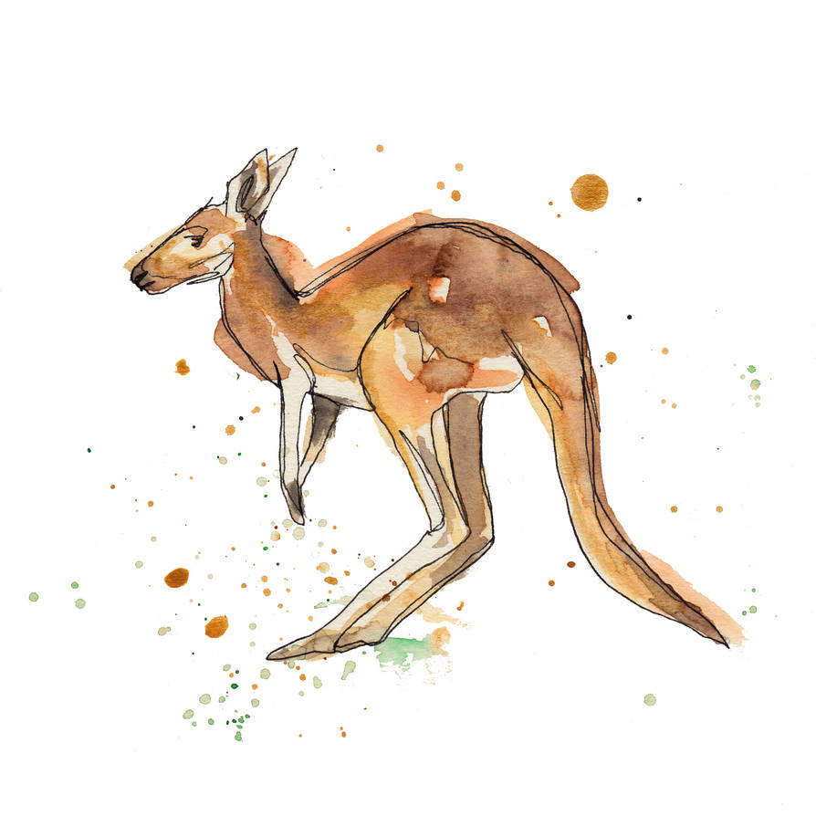 Kangaroo by SophieLeighArt on DeviantArt