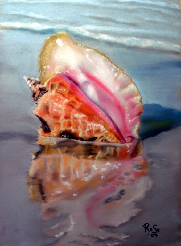 Solitary Conch