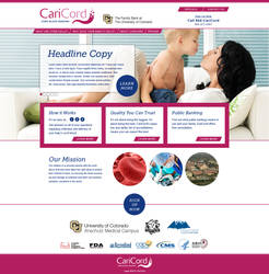 CariCord.com homepage design