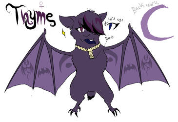 Thyme, or first try at Bats xD