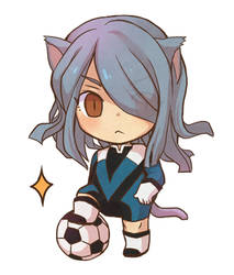 Inazuma11:DE Kaze neko