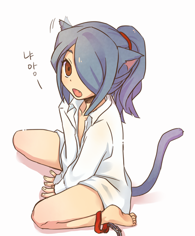 Inazuma11:Neko kaze2