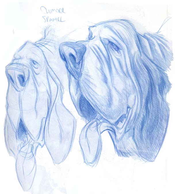 Animal Caricatures No. 7