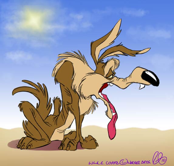 More Feral Wile E Coyote