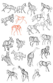 Horse Studies