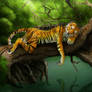 Resting Tiger +color+