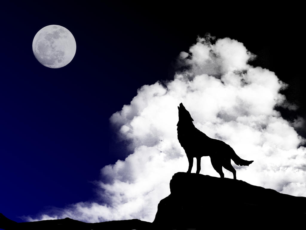 Lonely Wolf Lonely Sleep Scan Vf
