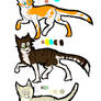 FELINE ADOPTABLES