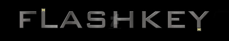 FlashKey Logo Design