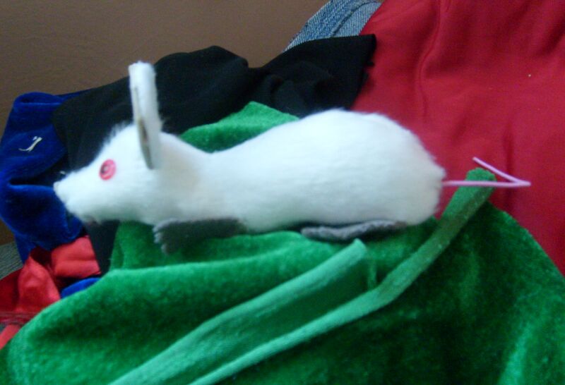 Plushie Rattie