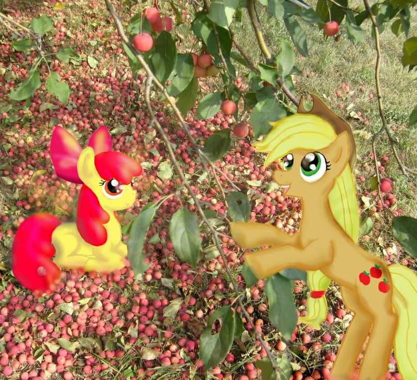 Apple ponies