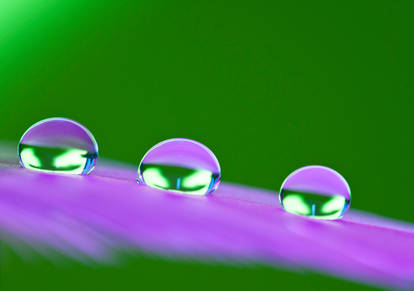 Green eyed droplets