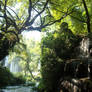 Waterfall And Green