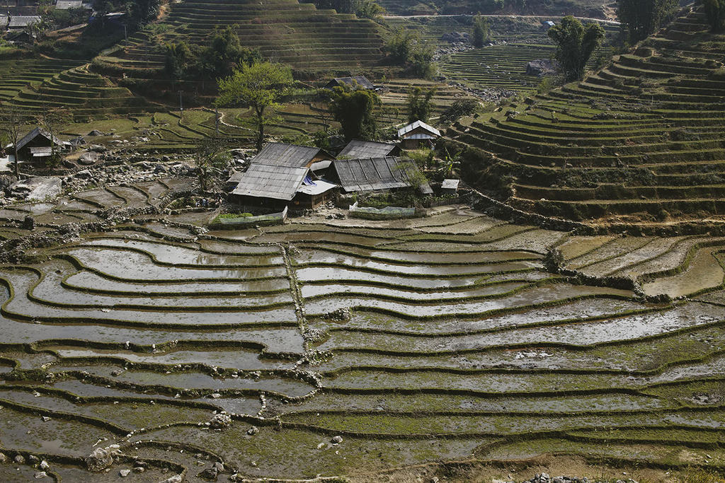 Vietnam : The Countryside