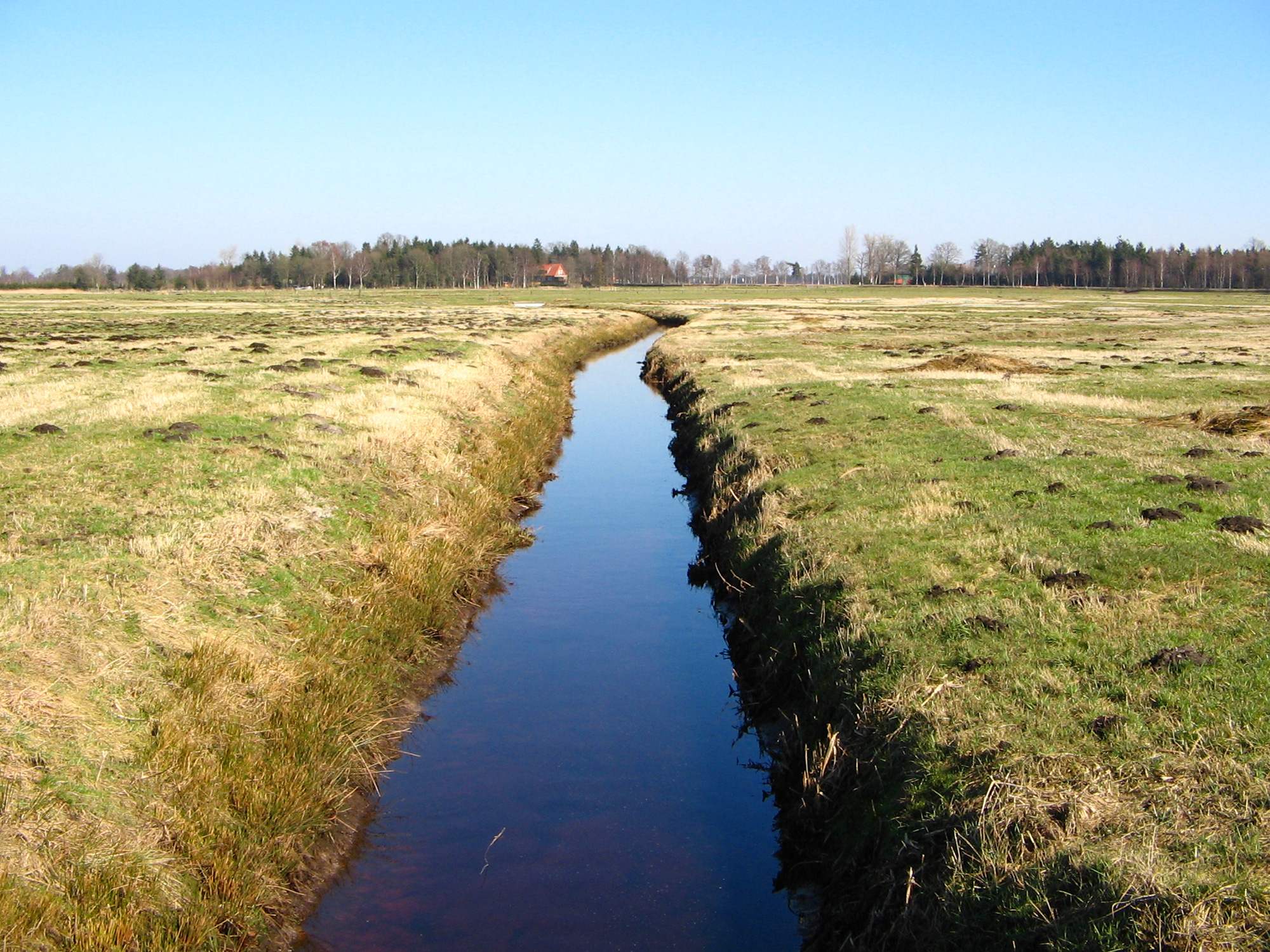 Creek Stock