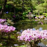 Temple garden in Tokyo 