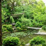 Temple garden in Tokyo 2