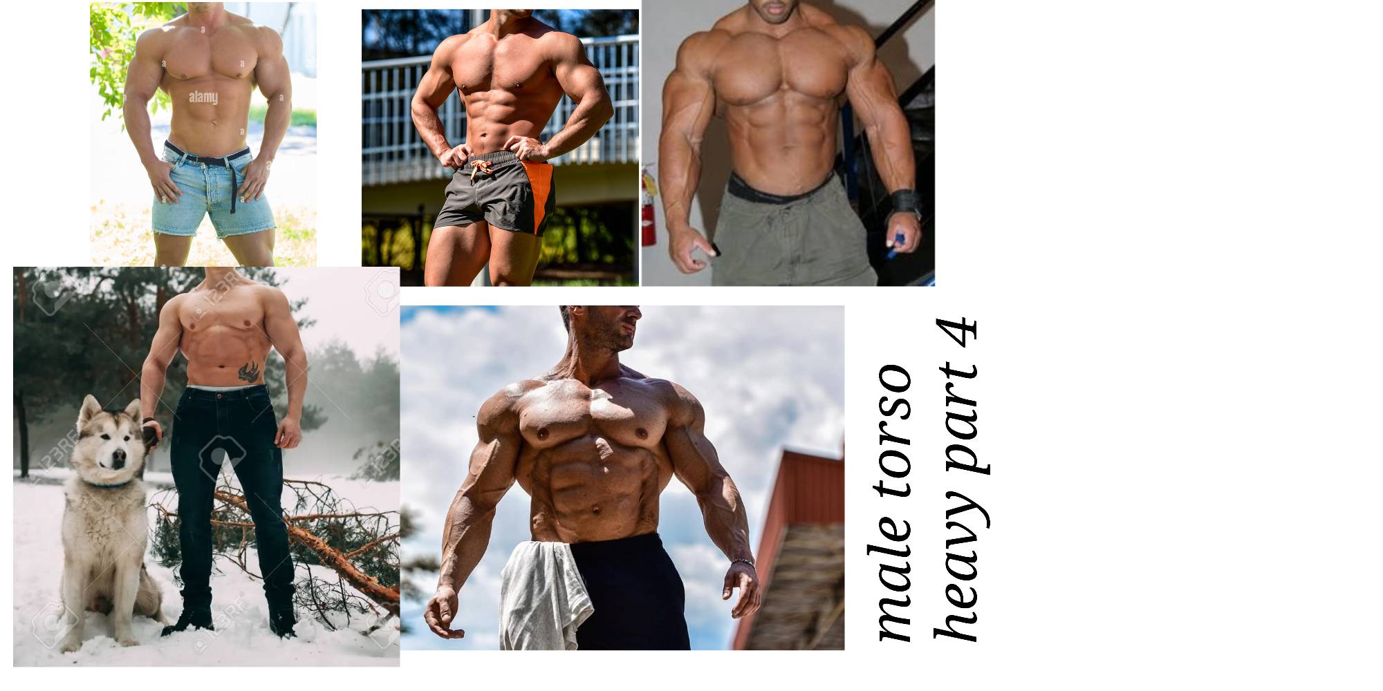 Heavy Torso Male torso heavy part 4 reference by MargaretAnima on DeviantArt