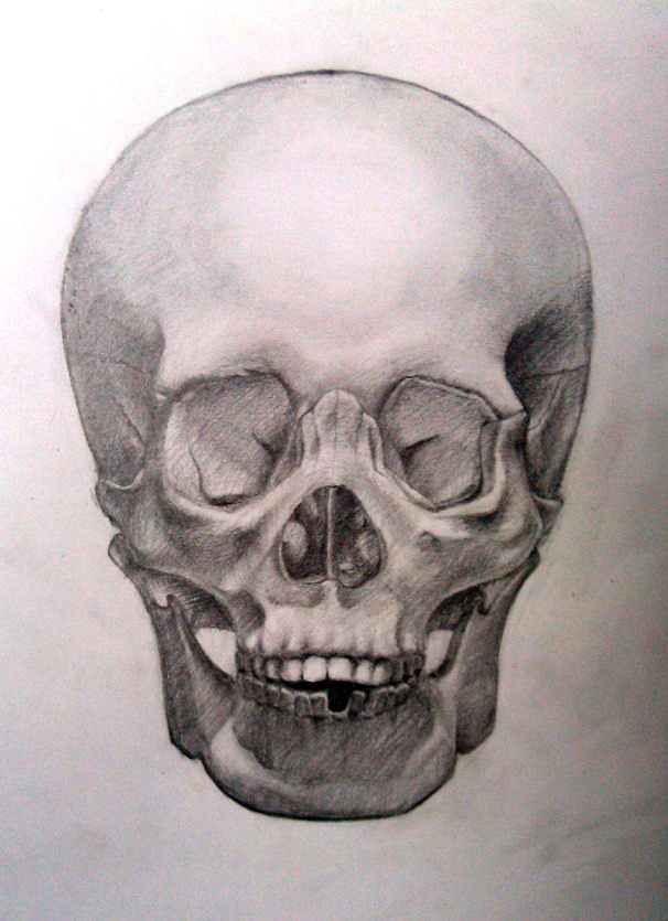 Skull