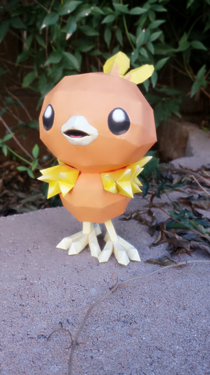 Torchic