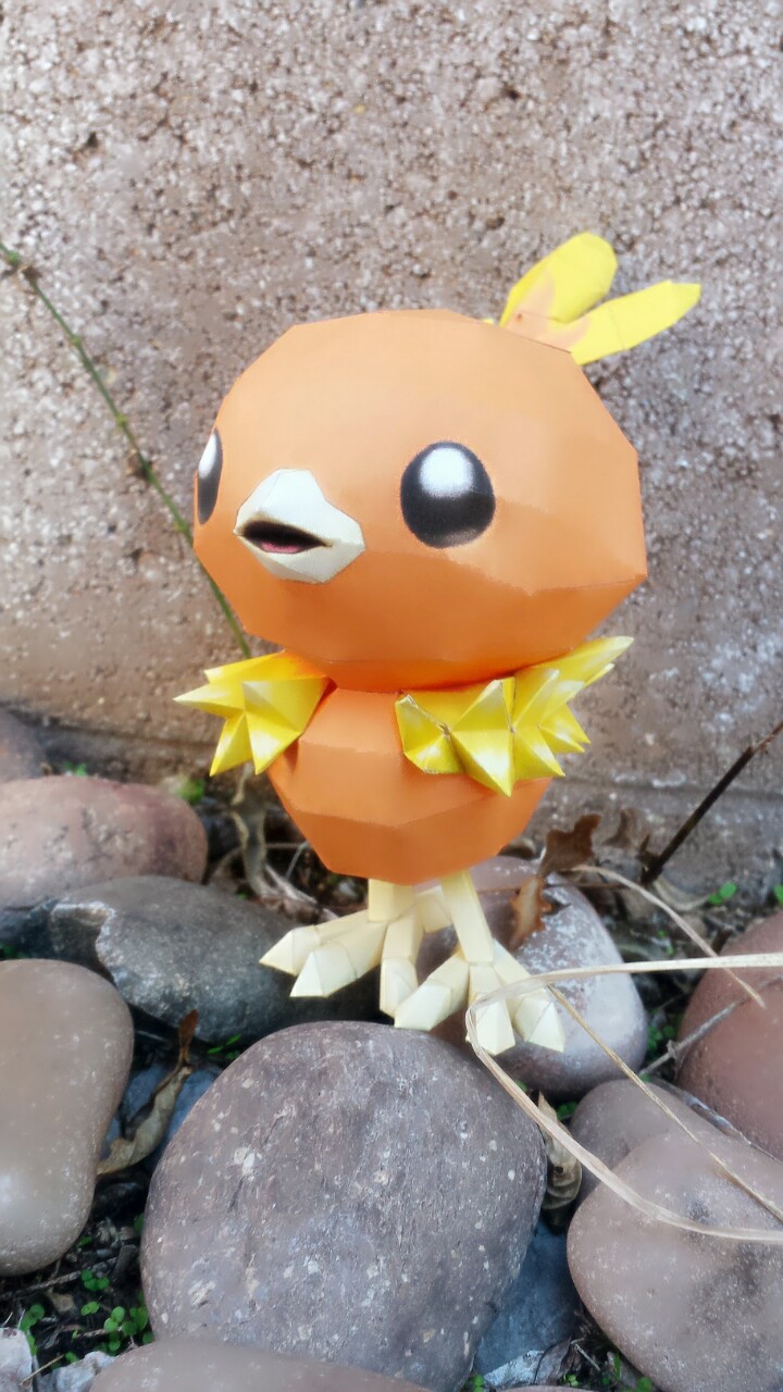 Torchic