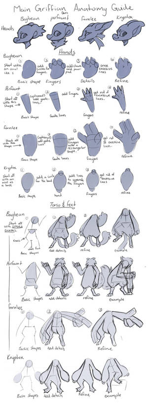 Main Griffian anatomy guide :REDO: