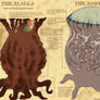 The Xcalla Xorra