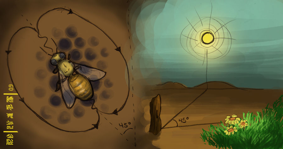 YAY Waggle Dance