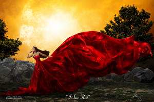 I Saw Red by theartofdarrenvannoy I Saw Red by theartofdarrenvannoy