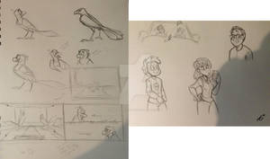 Sketches of Birds and People