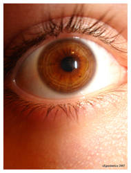 My Eye 2