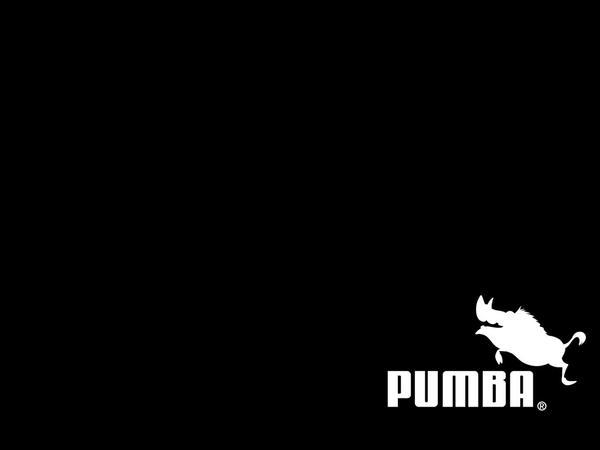 Pumba Wallpaper