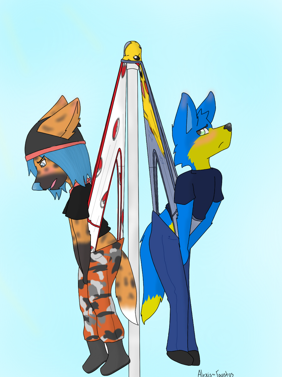 Commission 5~Flagpole Wedgie