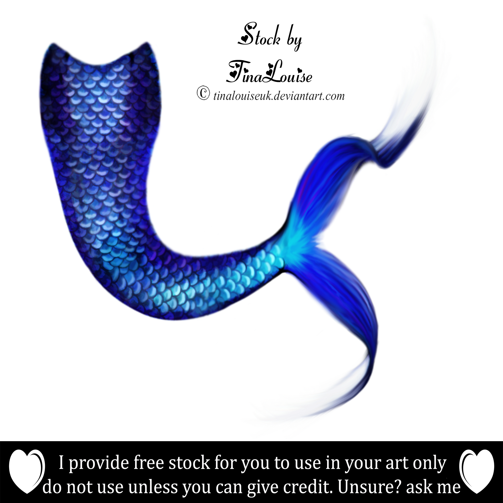 Painted Mermaid Tail