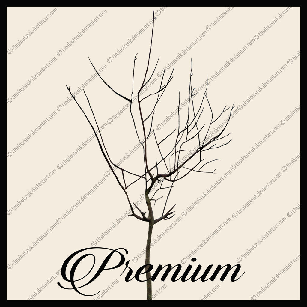 Bare Tree Png