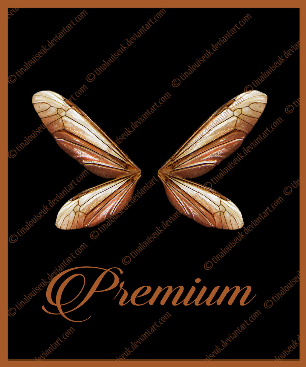 Fairy Wings png