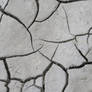 Cracked mud texture