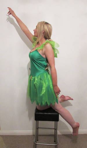 Tinkerbell (13) by TinaLouiseUk Tinkerbell (13) by TinaLouiseUk