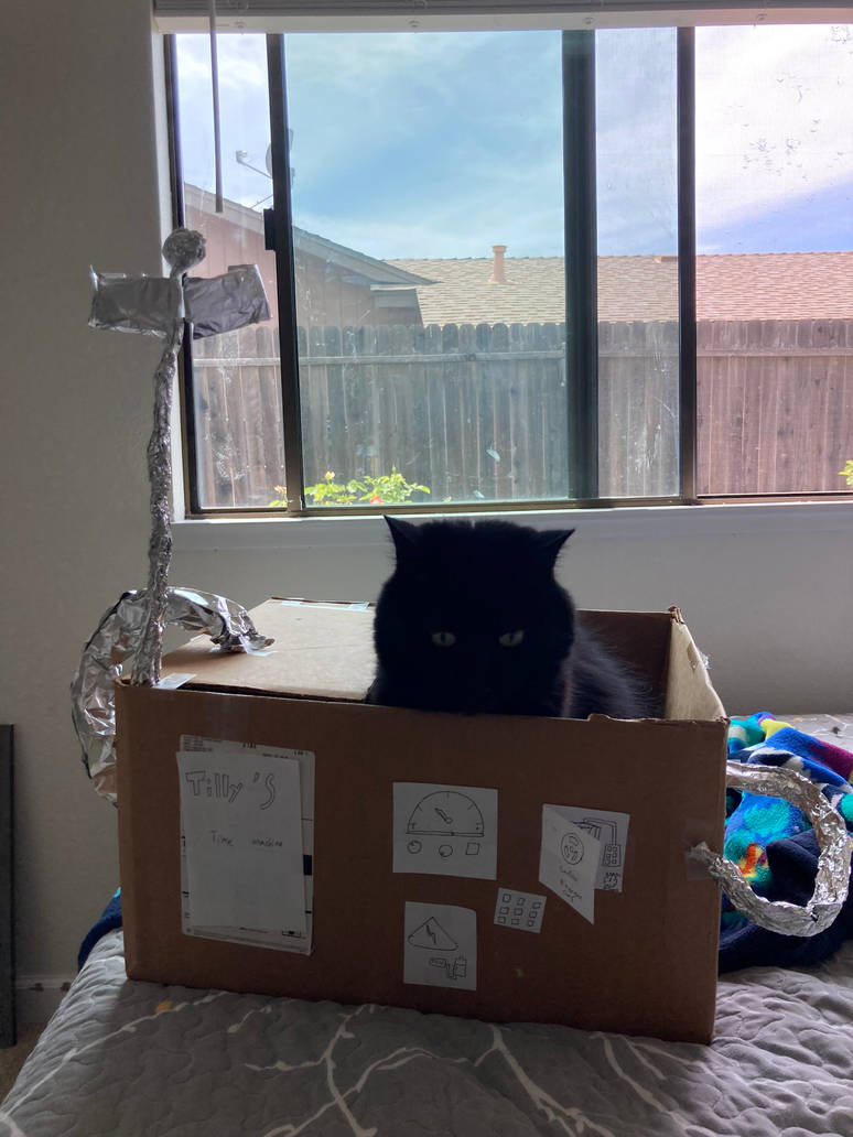 My cat in a custom box by AwsomeCatz01 on DeviantArt