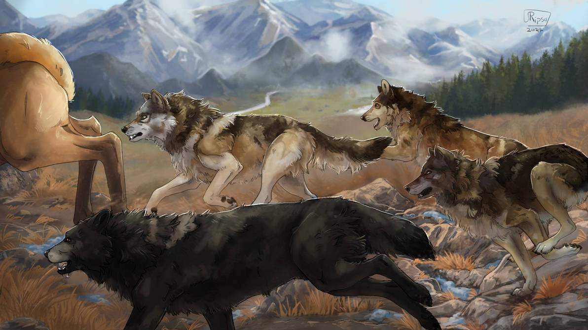 Wolfquest Wolfquest illustration by Ripsa-art on DeviantArt