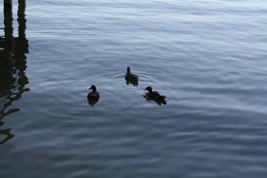 Donald and family