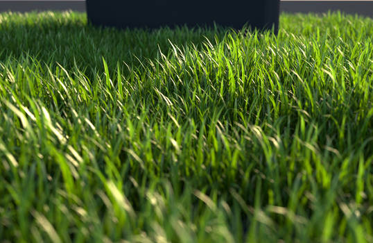 3D grass