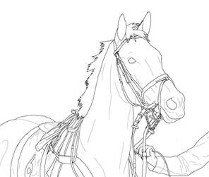 Racehorse lineart