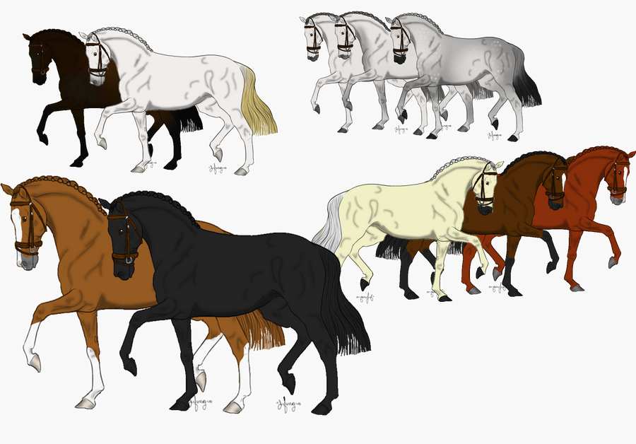 Polo 2025 canterwood boots