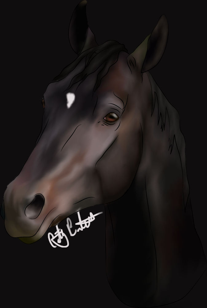 Quarantine Racehorses - Ruffian by MakiTokito on DeviantArt
