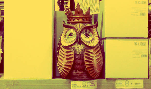 owl :)