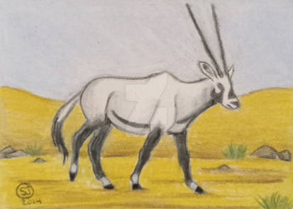 ACEO:  Arabian Oryx